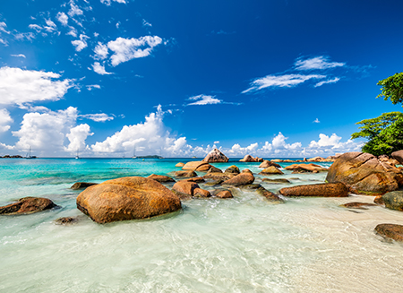 注册BVI公司的弊端